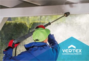 Vertex Cleaning Solutions